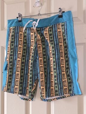 Men's Turquoise & Multicolor Striped Board Shorts